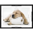 thumbnail image 5 of Art.com Yellow Labrador Puppy Asleep on Toilet Roll, 9 Weeks Photographic Print, Black Frame Wall Art, 23" x 17", 5 of 5