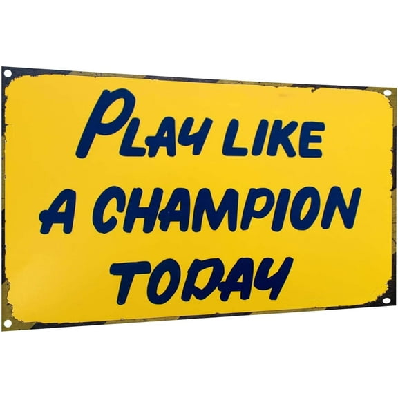 Vintage Metal Tin Sign Funny Sarcastic Party Wall Art Decor Signs Play Like A Champion Today Tin Metal Tin Sign Tin Plate Sign Wall Art Decor Tin Sign For Bar Restaurant Cafe Man Cave Pub
