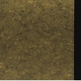 thumbnail image 4 of Patriote Radical Américain, 4 of 5