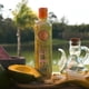 thumbnail image 3 of Kit de champú y tratamiento Ritual Botanico Ultra Repair, 3 of 8