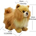 thumbnail image 2 of Realistic Pomeranian Dog Stuffed Animal Plush Toy, Lifelike Animal Plushies, Simulation Dog Doll, 2 of 8