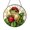 Acrylic 3.5 Inch, variant on Strawberry Frog Stained Glass Style Acrylic Window Suncatcher Decor, Cute Decorative Hanging Panel Ornament for Garden Window Art and Nature Theme Home Decoration