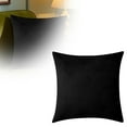 thumbnail image 2 of zhangmingg Decorative Velvet Throw Pillow Cover for Sofa Bed Couch Living Room Home Protector, 2 of 5