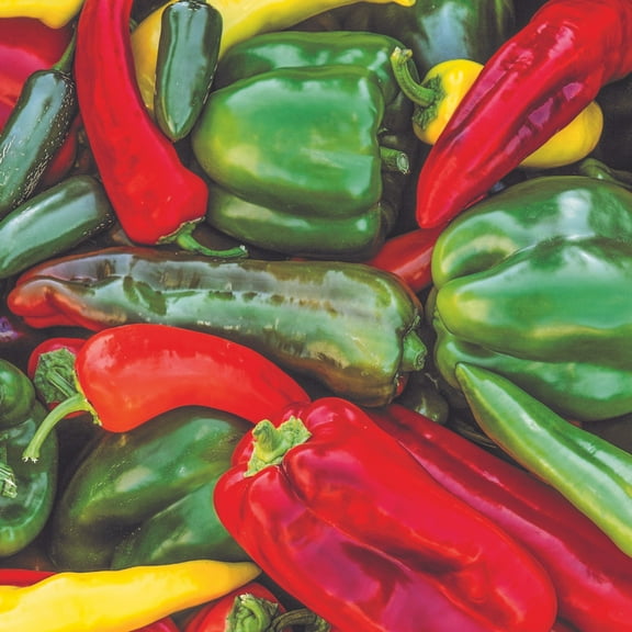 Sweet & Spicy Pepper Mix Seeds 2 Gram – Non-GMO Garden Seeds – Bell, Jalapeño, Banana & More – Sweet & Hot Varieties – Heirloom, Open-Pollinated – Container Friendly