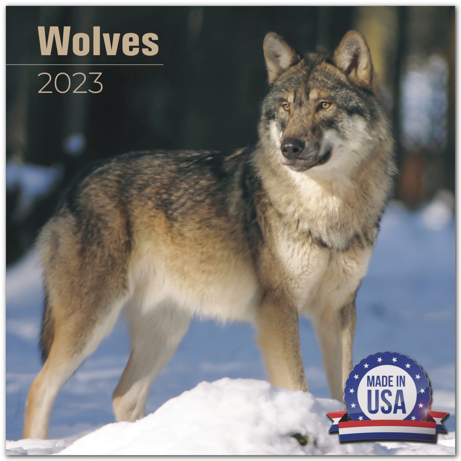 2022 2023 Wolves Calendar - Wildlife Monthly Wall Calendar - 12 x 24 Open - Thick No-Bleed Paper - Giftable - Academic Teacher's Planner Calendar Organizing & Planning - Made in USA