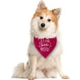 thumbnail image 2 of It''s My Gotcha Day Dog Bandana, Deep Pink Dog Bandana, Pet Dog Scarf Accessories, Pet Dog Triangle Scarf, Funny Cute Dog Bandana, Dog Bandana for Dogs, Dog Bandana Pet Scarf (E16), 2 of 4