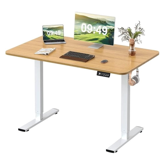 WDZS Electric Height Adjustable Standing Desk Large 48 x 24 Inches Sit Stand up Desk Home Office Computer Desk Memory Preset with T-Shaped Metal Bracket, Wood