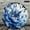 12x12in, variant on Patifu Blue Peony Flower Wall Clock Silent Mechanical Movement Elegant Wood Decor 10x10in