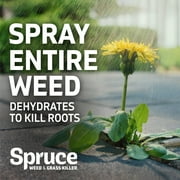Spruce Weed & Grass Killer Refill, 64 oz.