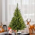 thumbnail image 2 of 3' Kincaid Spruce Tree, 2 of 4