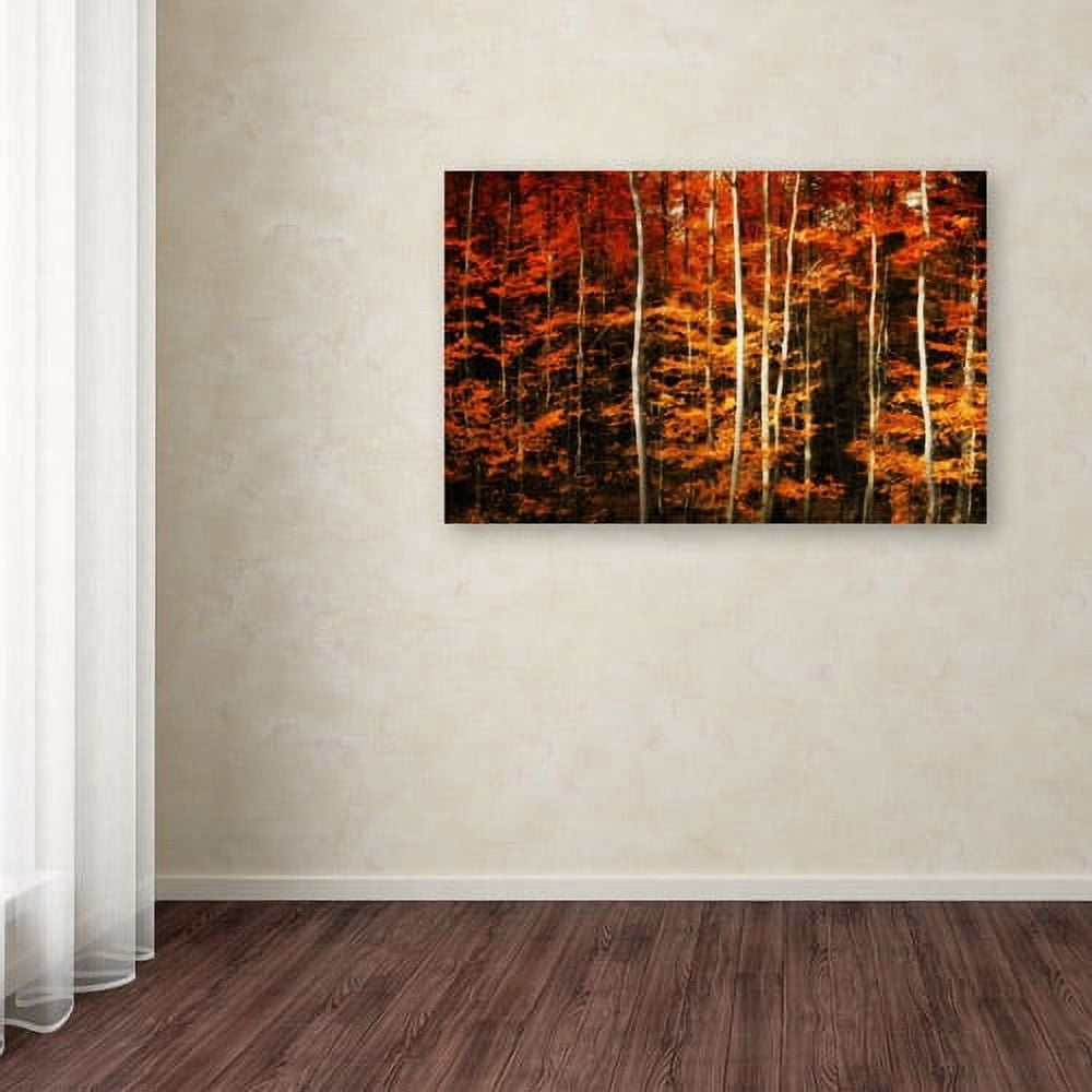 "Still Painting" Canvas Art by Philippe Sainte-Laudy