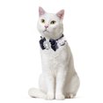 thumbnail image 4 of Pet Collar Adjustable Cute Fake Pearl Floral Decor Dog Collar Cat Collar, 4 of 6