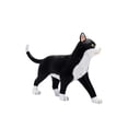 thumbnail image 4 of Kit de Modelo de Anatomía de Esqueleto de Gato 4D Sincero Modelo Anatómico Animal Desmontable 30 cm, 4 of 5