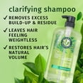 thumbnail image 3 of Herbal Essences Clarifying Shampoo, Tea Tree, 29.2 fl oz, 3 of 11