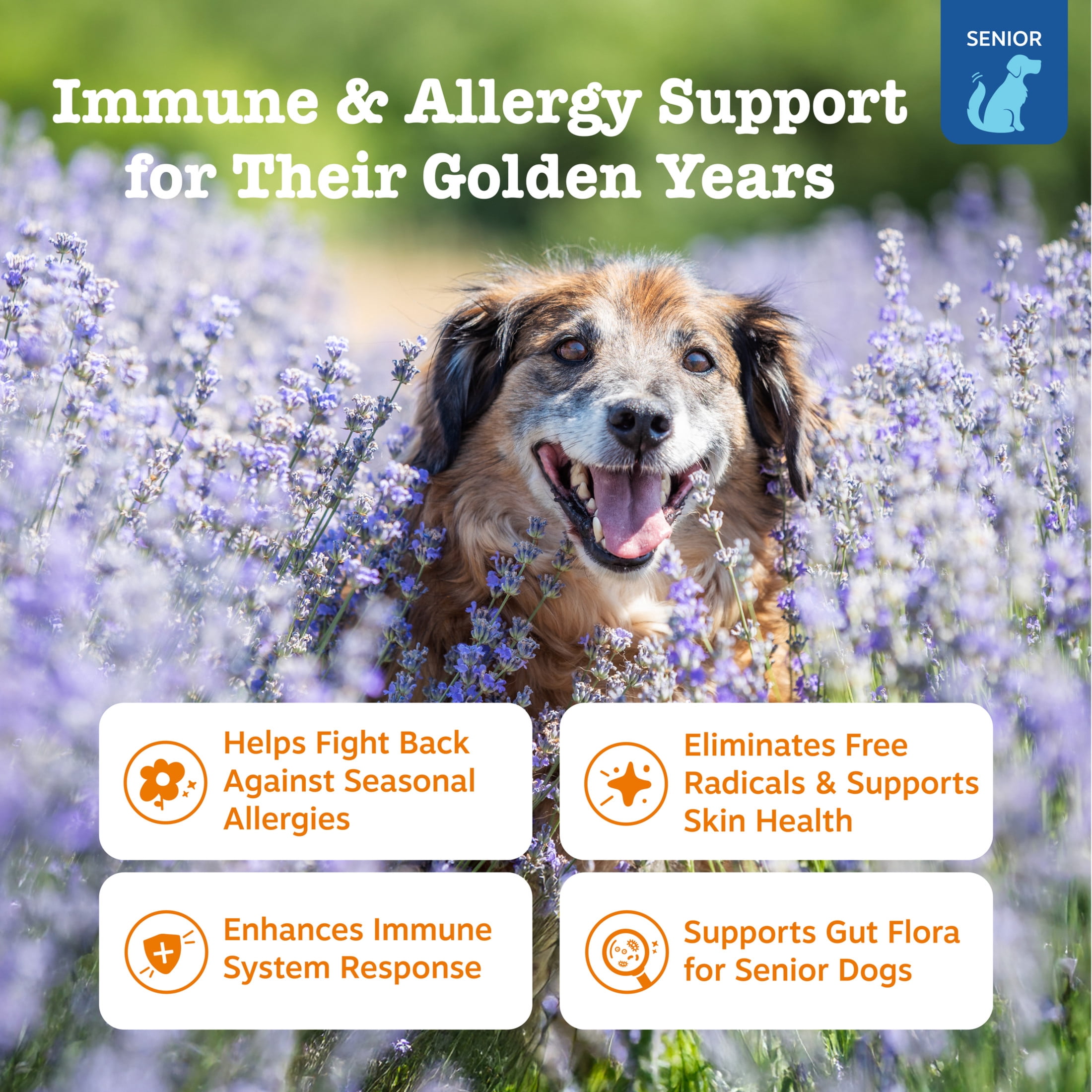 Zesty Paws Senior Advanced Allergy & Immune Bites Salmon Flavor Dog Supplement, 90 Count