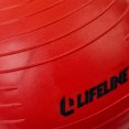 Lifeline Mini Core Ball Abdominal Trainer