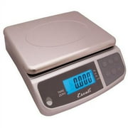 Digital Counting Scale