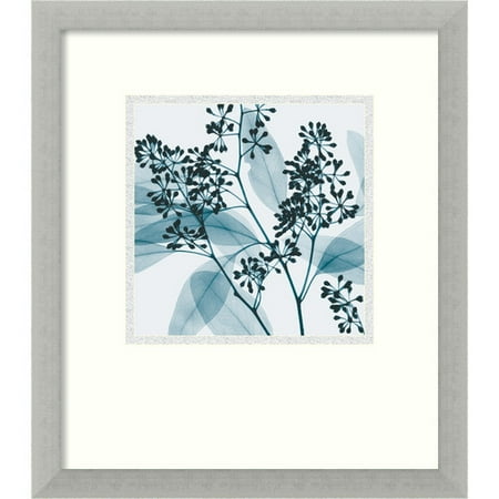 Amanti Art 'Eucalyptus II' by Steven N. Meyers Framed Photographic Print