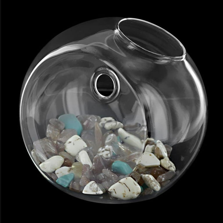 Zoiuytrg Hanging Flower Pot Glass Ball Vase Terrarium Wall Fish Tank Aquarium Container Zoiuytrg Hanging Flower Pot Glass Ball Vase Terrarium Wall Fish Tank Aquarium Container