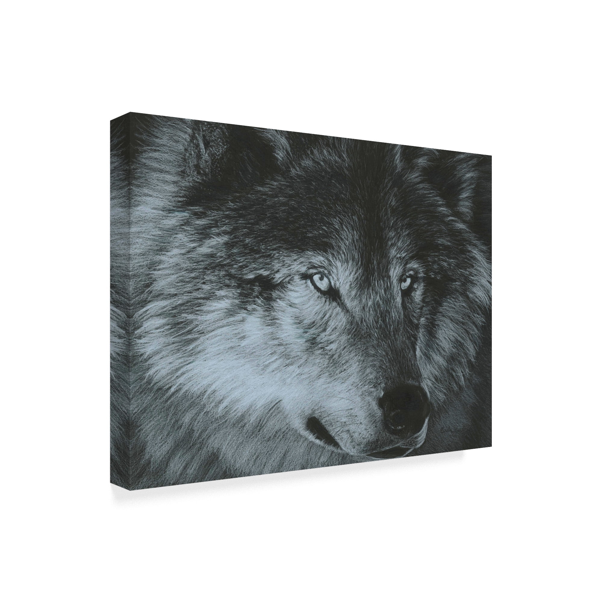 Trademark Fine Art 'Dark Wolf' Canvas Art by Carla Kurt