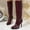 #327-Wine, variant on Wowcloth Women's Winter Boots – Stacked Fold Knee-High Pointed Toe Stiletto Heel Solid Color Casual Fashion Boots