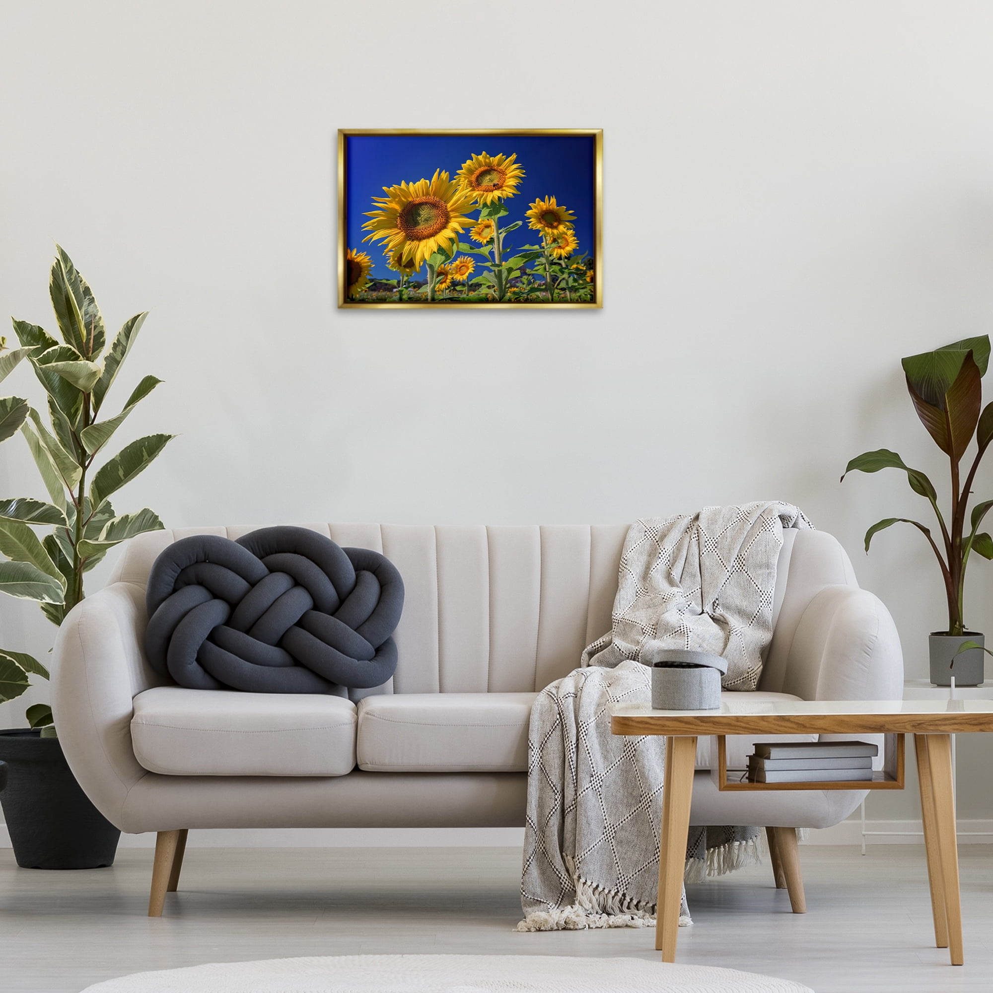 Stupell Industries Bright Sunflowers with Blue Sky Plants & Flowers Photography Gold Floater Framed Canvas Art Print Wall Art, 25 x 17
