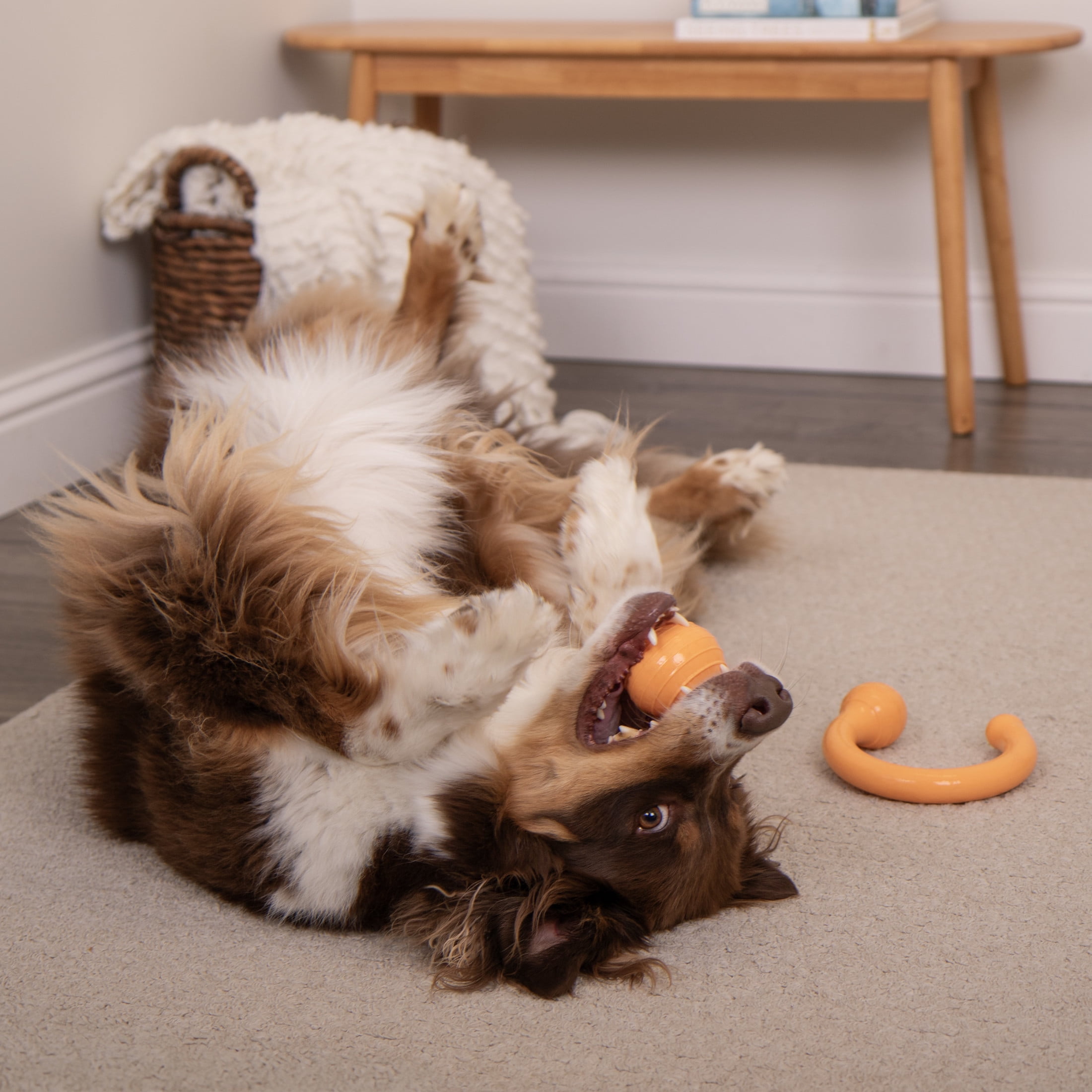 goDog Looper Puzzle Dog Toy, Orange, One Size