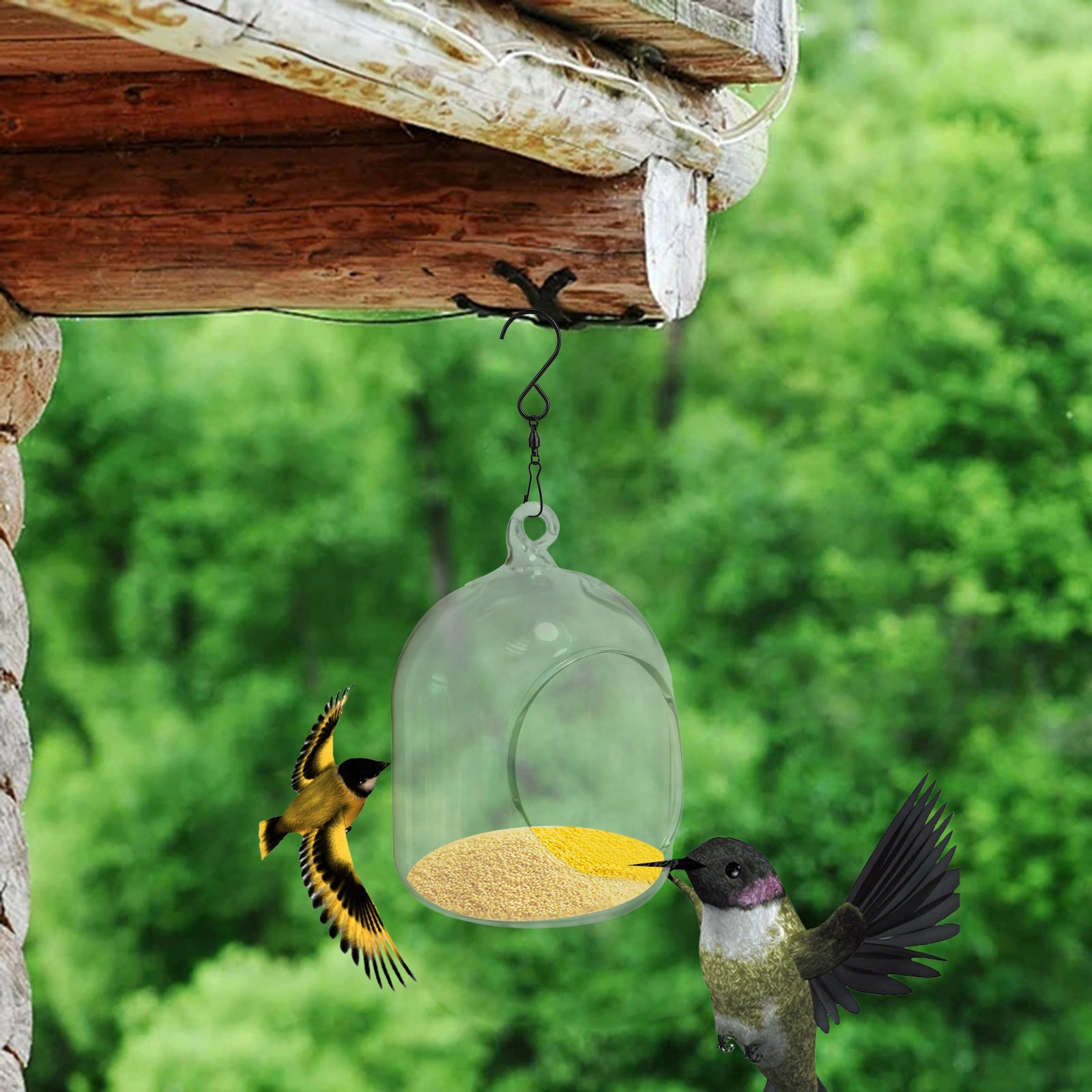 Bird Feeder With Camera 1080P Night Version Hanging Bird Feeders For ...