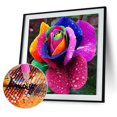 thumbnail image 4 of Cuadros Decorativos 5D bricolaje parte taladro diamante pintura colorido flor punto de cruz bordado Ehuebsd Nuevos Originales, 4 of 8