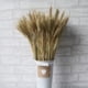 thumbnail image 4 of Ramo De 100 Piezas De Orejas De Trigo Realistas, Ramo De Gavillas De Trigo Secas, Accesorios De Fotografía Para Decoración De Bodas, 4 of 4
