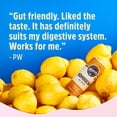 thumbnail image 3 of Remedy Kombucha Ginger Lemon 1L, Imported from Britain, 3 of 4