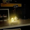 thumbnail image 4 of Fasiaou Luminous Planetary Galaxy Astronaut Crystal Ball With Astronaut Hand Push Night Light USB Power Supply To Keep Warm Bedside Light Children’s Gift/house/A Gift, 4 of 9