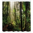 thumbnail image 3 of Ambesonne Puerto Rico Shower Curtain, Jungle Path El Yunque, 69"Wx70"L, Green Dark Green, 3 of 3