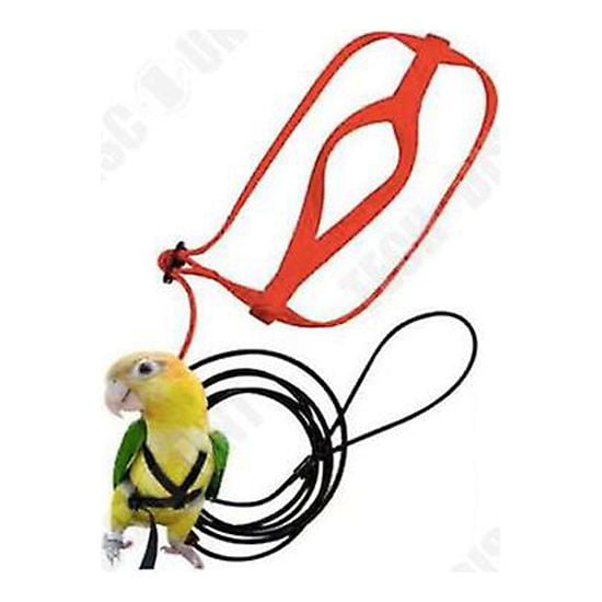 Adjustable Parrot Harness Leash - Pet Training Rope