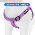 thumbnail image 5 of Pawtitas 3-in-1 Extra Small Dog Harness Dog Collar & Dog Leash For Extra Small Dogs - Orchid Extra Small Dog Collar Harness Leash Set, 5 of 8