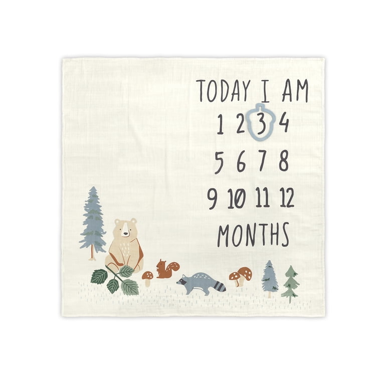 Modern Moments by Gerber Baby Boy Milestone Blanket & Frame photo 3
