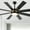 Black & Gold, variant on Dextrus 60 inch Modern LED Outdoor/ Indoor Ceiling Fan with Remote Control