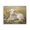 Sunlight Lamb, Spring Meadow, Wildflowers, variant on Stupell Industries French Country Soft Color Rabbit in Meadow Black Floating Frame Canvas Art, 21 x 17, by Petals Prints Design