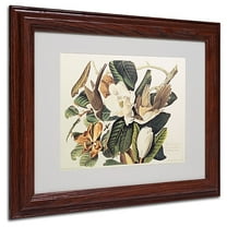 Trademark Fine Art "Black-Billed Cuckoo" Canvas Art by John James Audubon, Wood Frame