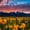 Grand Teton Wildflowers, variant on Elephant Stock Grand Teton Wildflowers Wall Art - Horizontal Multi Panel Canvas - Living Room Wall Decor - Nature Multi Panel - Orange And Blue Decor - 23" x 14"