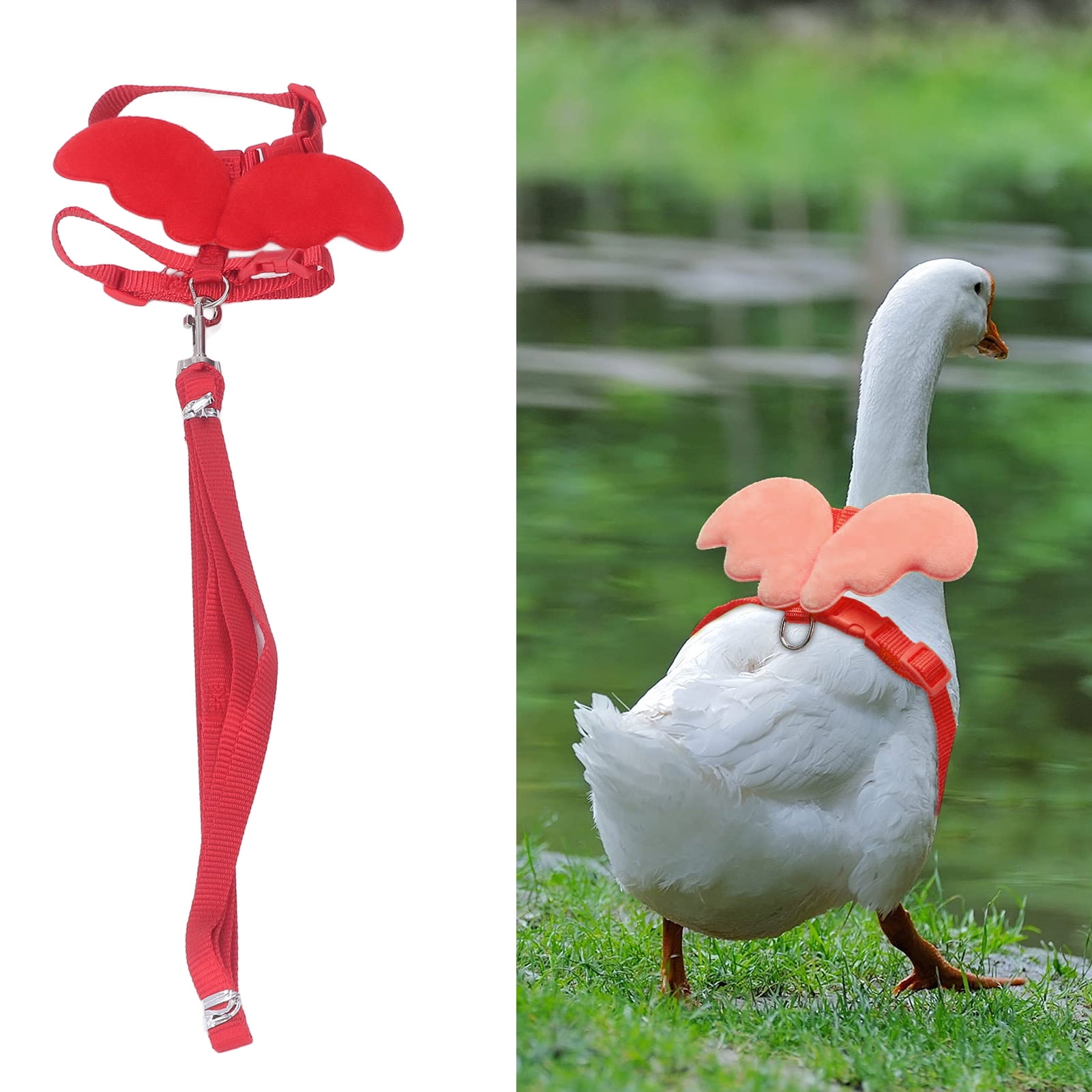 Duck walking harness sale