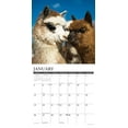 thumbnail image 3 of Alpacas 2026 12 X 12 Wall Calendar, (Hardcover), 3 of 5