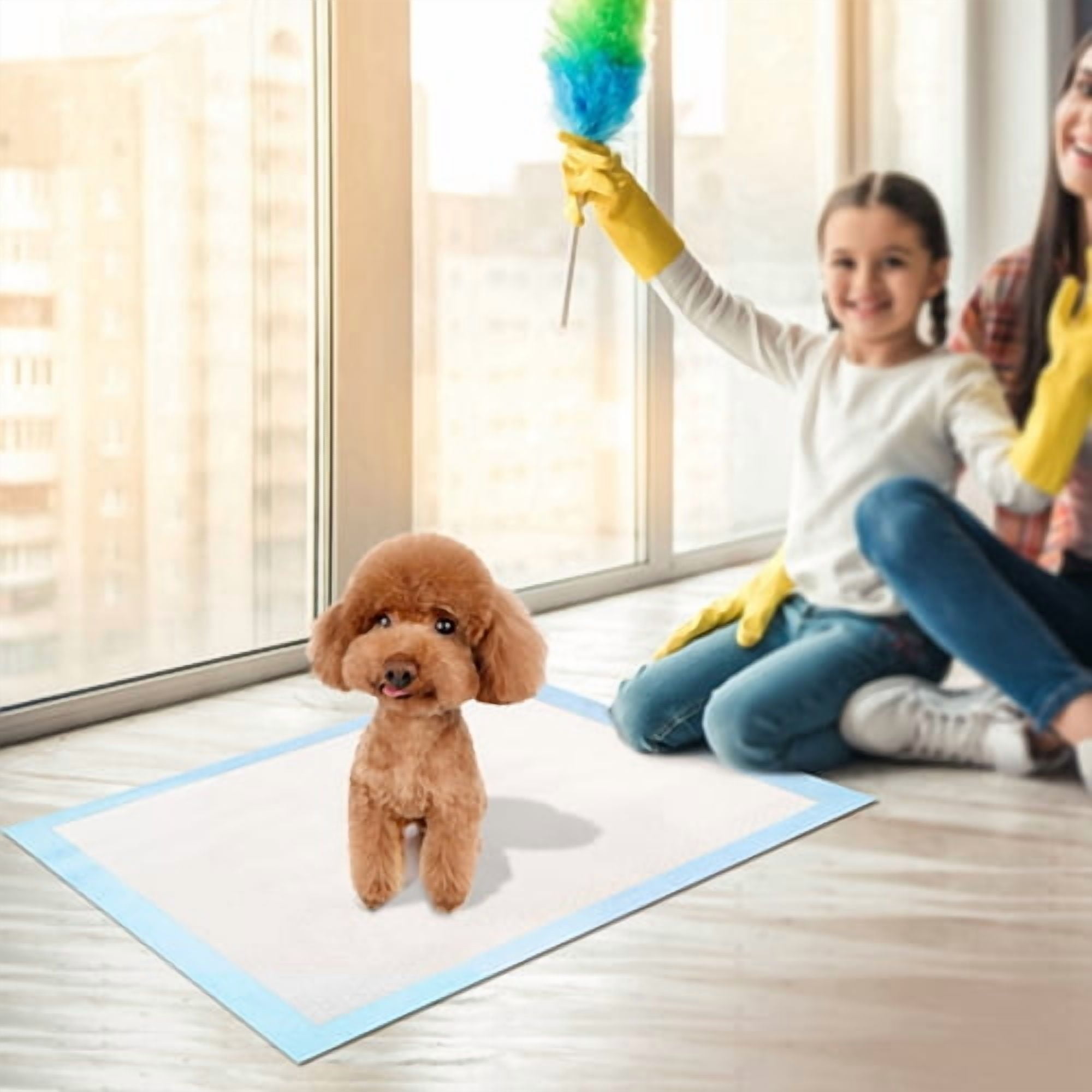 iMountek 50Pcs/Set Dog Training Pads Puppy Pee Pads Cat Wee Mats Potty-Train 24’’*18’’ M