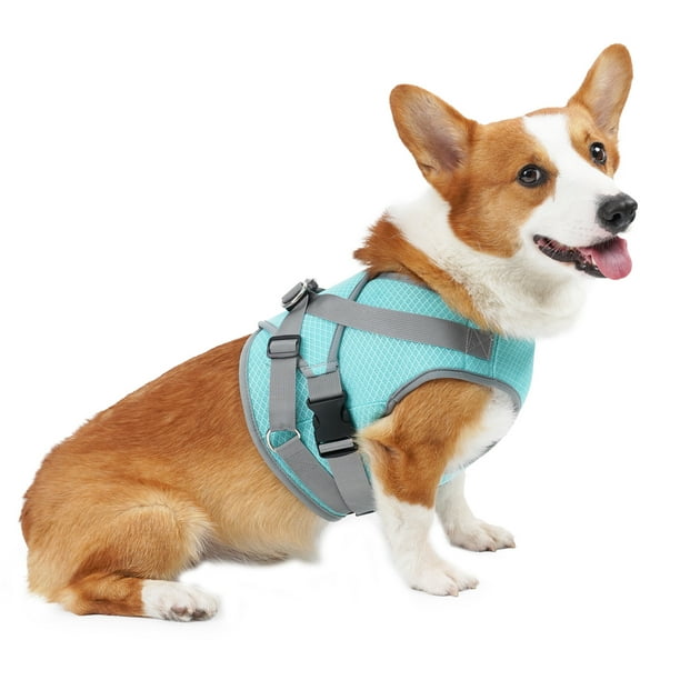 Arnés para perros Chaleco de enfriamiento Ajustable Malla transpirable Pet Summer Cooler