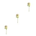 thumbnail image 4 of Baohd 1/2/3/5 10pack/lot Realistic Appearance Artificial Flower For Party Decor And Home Decor Light Green 3PCS, 4 of 6