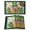 Green Beige, variant on St Patricks Day Placemats Set of 12, Watercolor Dogs Green Shamrock Wood Grain Placemats for Dining Table, Place Mats for Kitchen Tabletop, Waterproof Wipeable Dining Table Mats Set