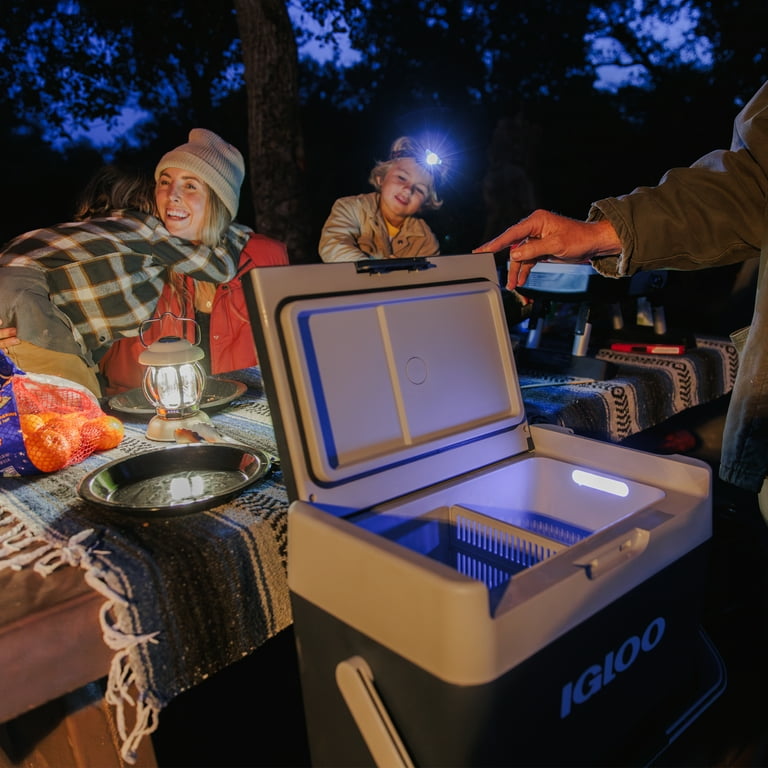 Igloo ICF 18 Active Electric Cooler Cooler, Rugged Blue