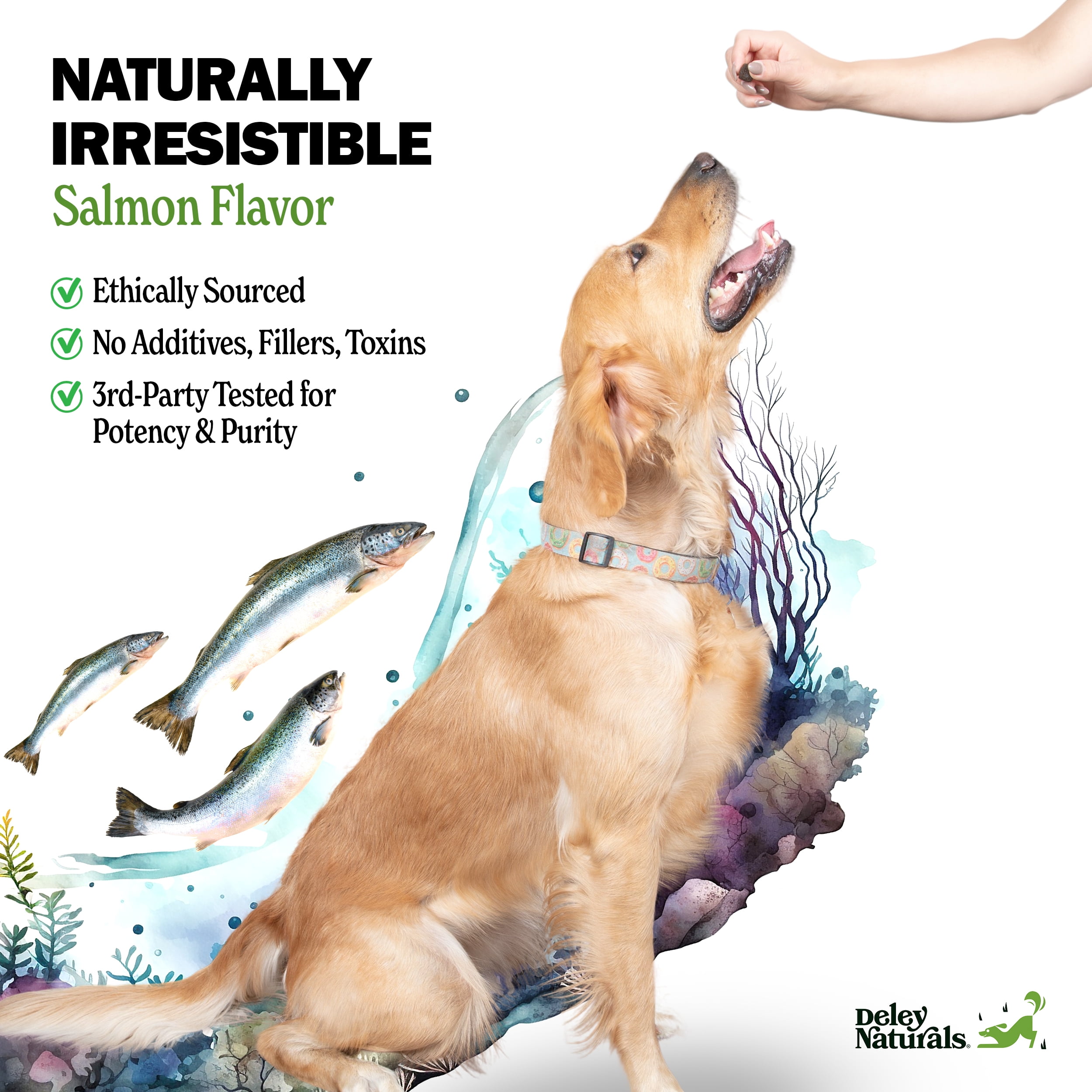 Deley Naturals Skin and Coat Chews - Itch Relief for Dogs with DHA and EPA