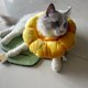 thumbnail image 4 of Collar de recuperación para perros pequeños y gatos, lindo cono de cuello de girasol después de la cirugía (xs), 4 of 5