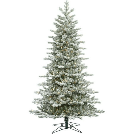 Vickerman 5.5' Frosted Eastern Frasier Fir Artificial Christmas Tree with 250 Clear (Santa Best Frasier Fir Christmas Tree)